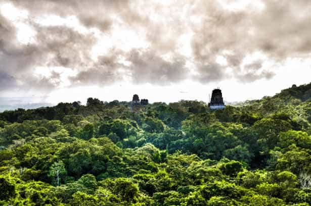 Early morning in Tikal as seen from temple Mundo Perdido