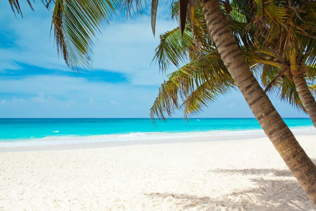 Caribbean beach with white sand, turquoise water and palm trees