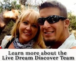 Live Dream Discover about widget