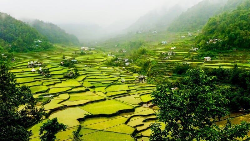 Ultimate Guide to Banaue Rice Terraces