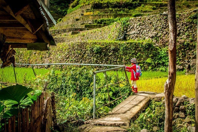 Banaue Rice Terraces