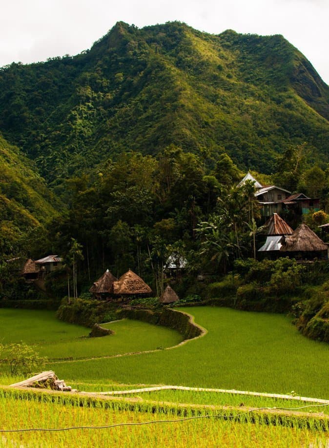 Banaue rice terraces