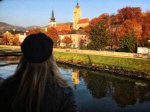 Viking River Cruise View