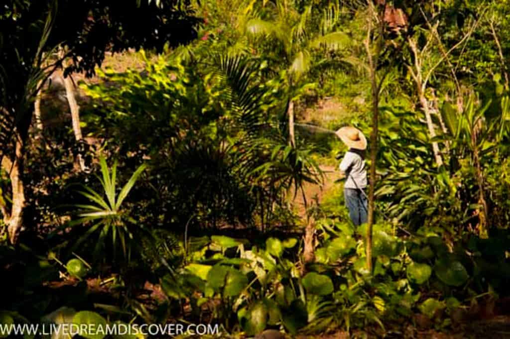 Puerto Vallarta Botanical Gardens