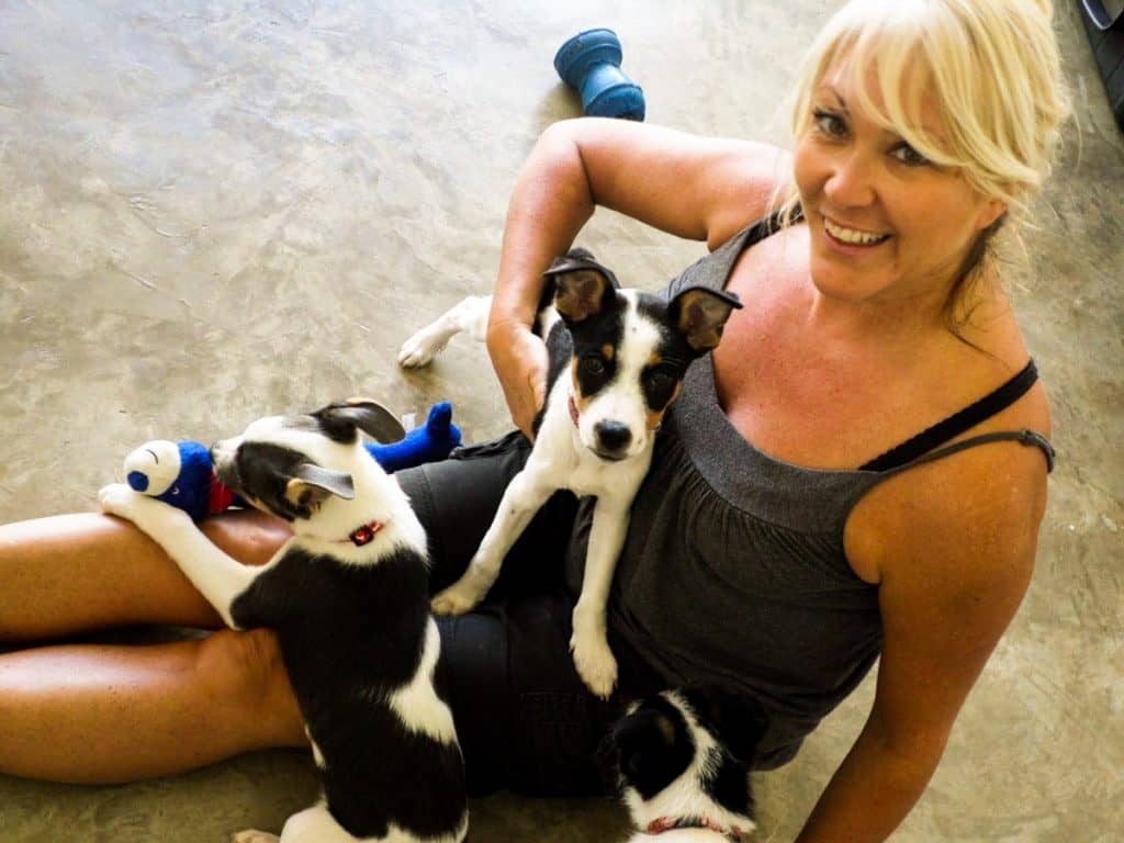 Things to do in Puerto Vallarta: SPCA pups