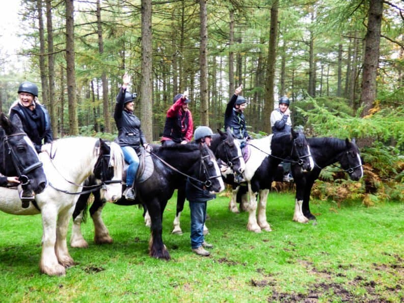 horse tours dublin