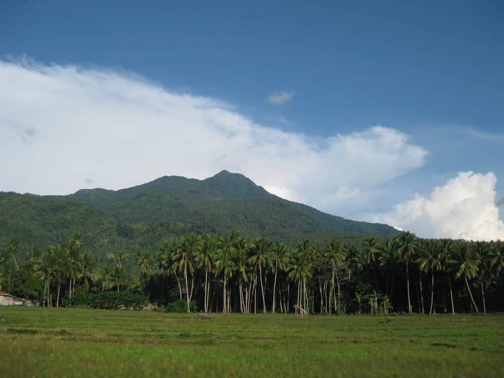 Lush green mountains and palm trees in Camiguin