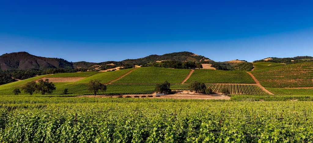 Planning a Weekend in Napa Valley, California