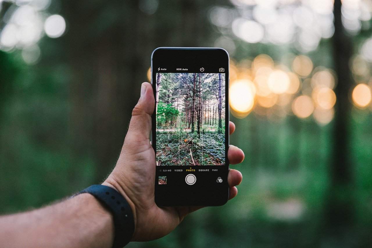 A hand holding a smart phone showing image of trees on screen