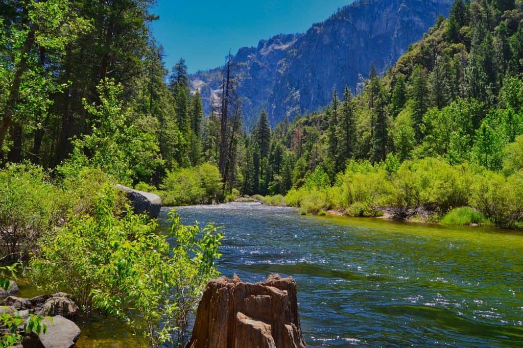What is the Best Time to Visit Yosemite National Park?