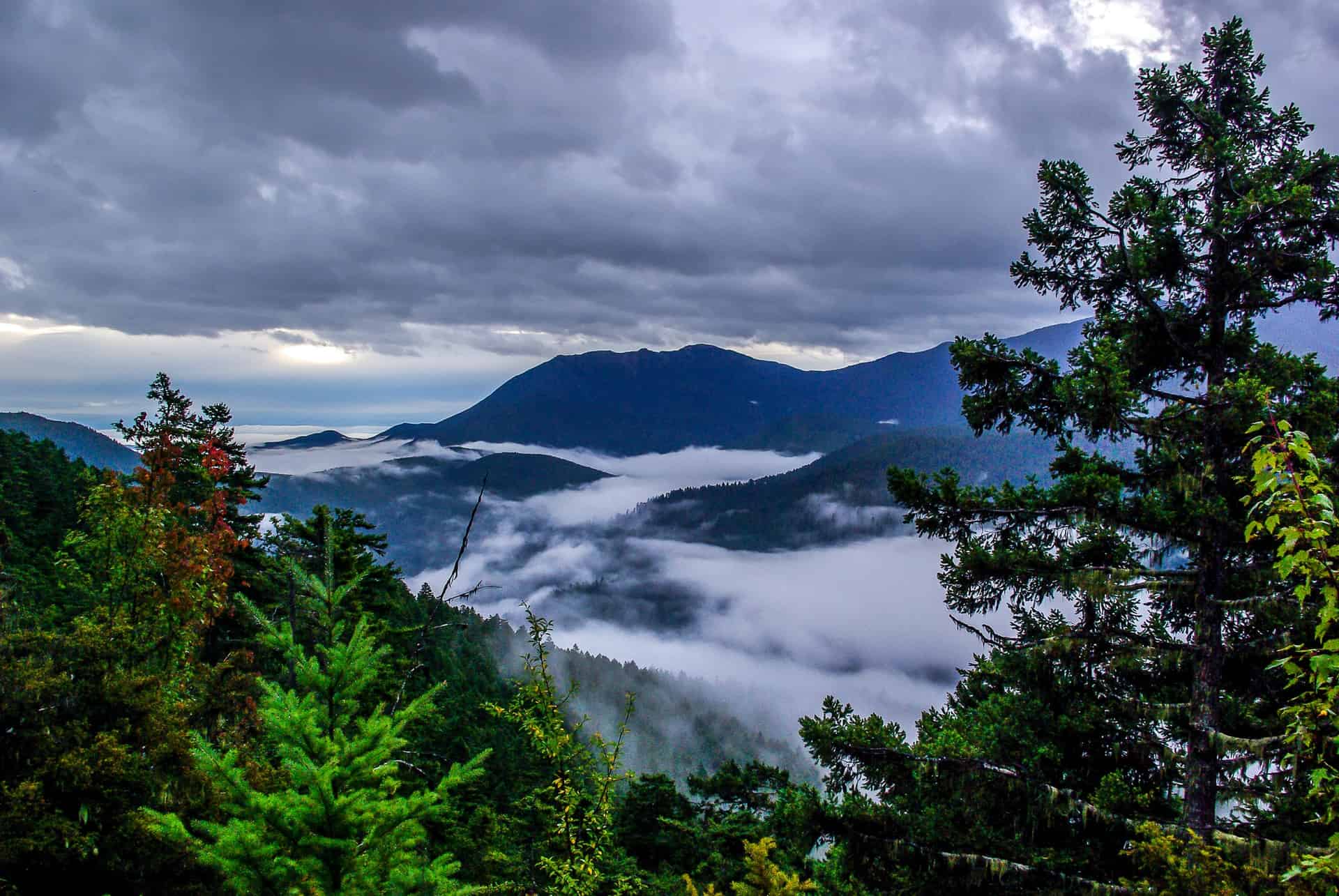 Mountains and evergreens with low cloud