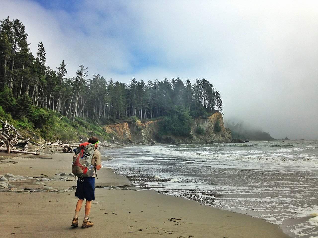 Best hikes in Olympic National Park, WA