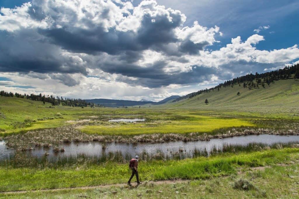 Hiker in Yellowstone in summer