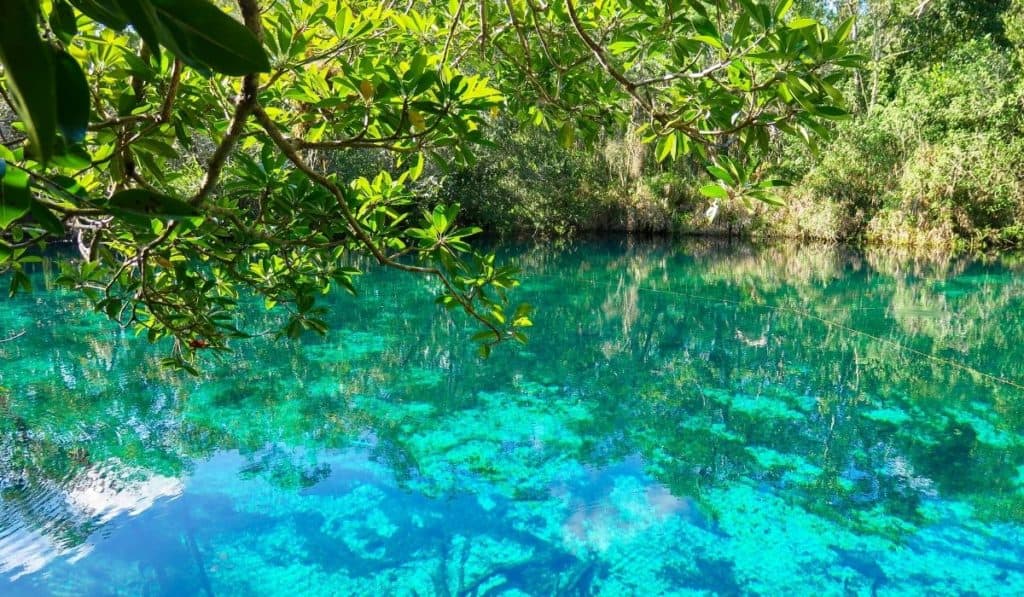 Clear turqoiuse water with jungle surroundings