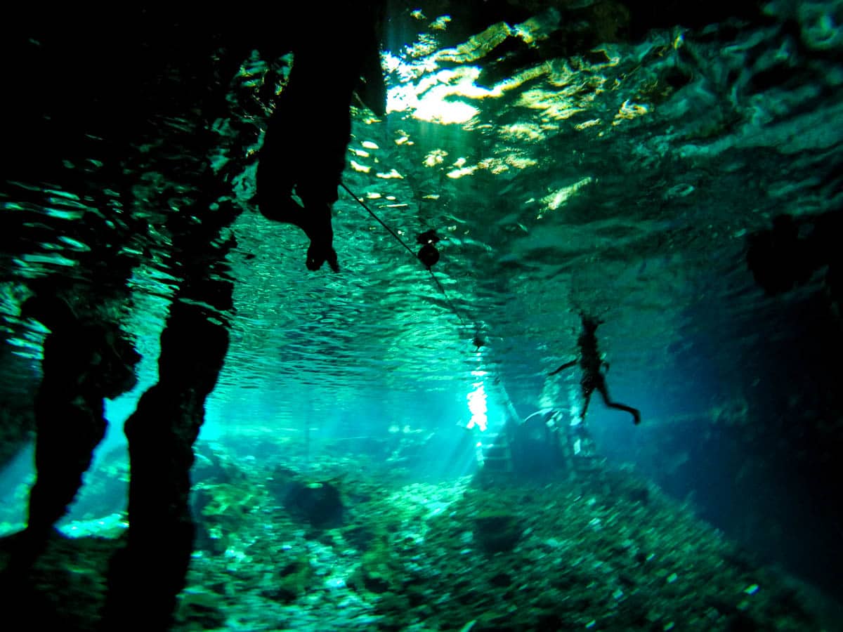 Underwater shot at Myan Riviera Cenote
