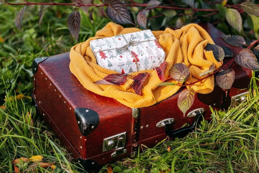 Ultimate List of Gifts for Travel Lovers