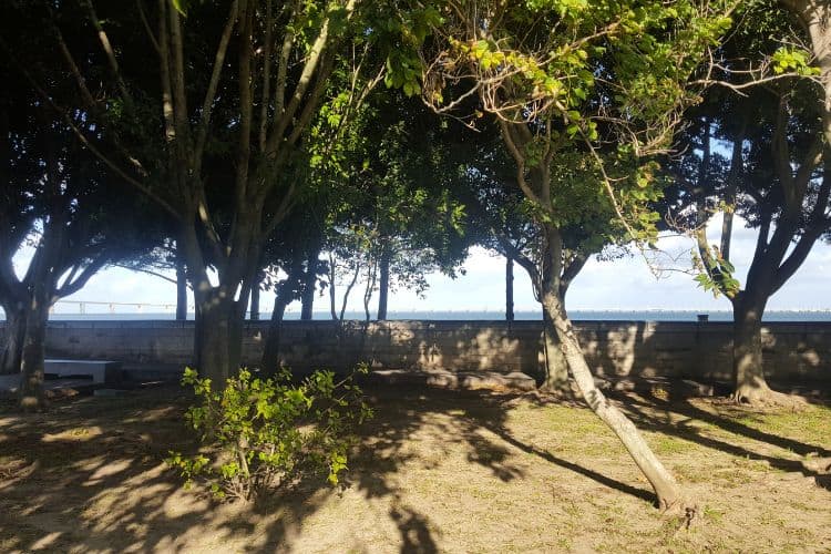 Park in Lisbon